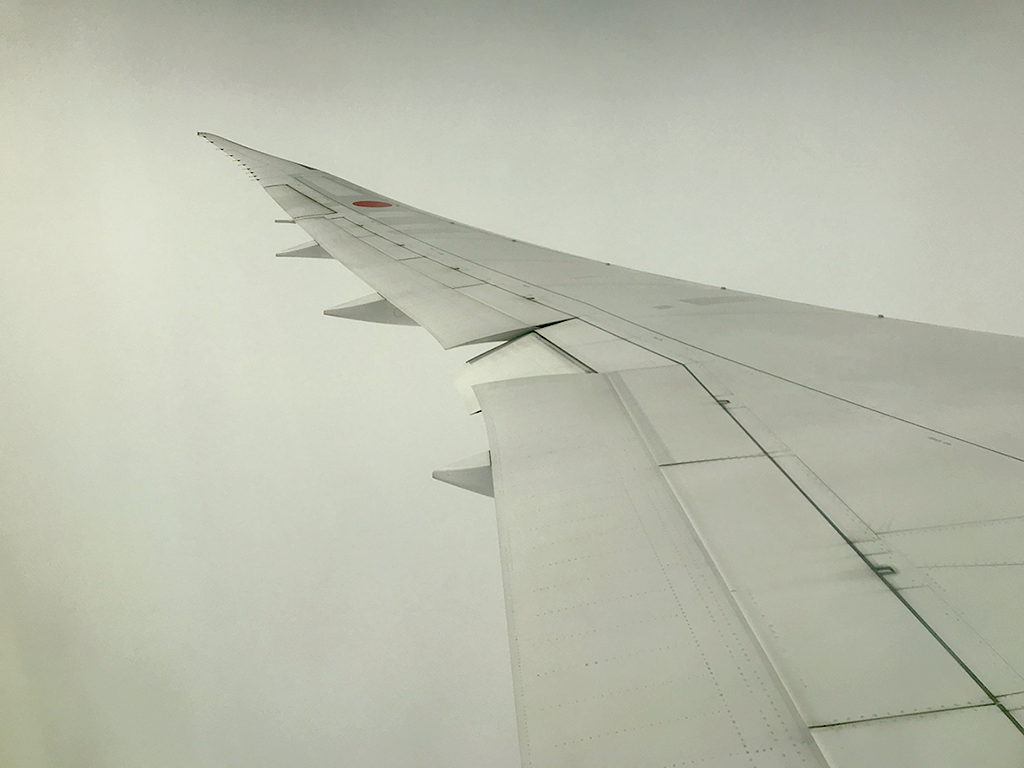 1月 飛行機の窓から